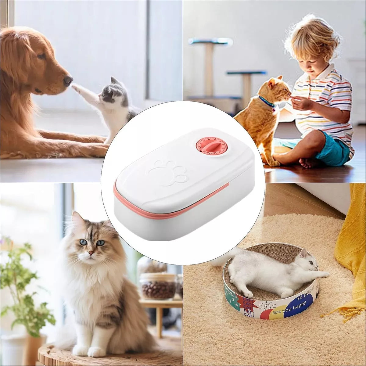 Dispensador Automatico Alimento Comedero Mascota Perro Gato