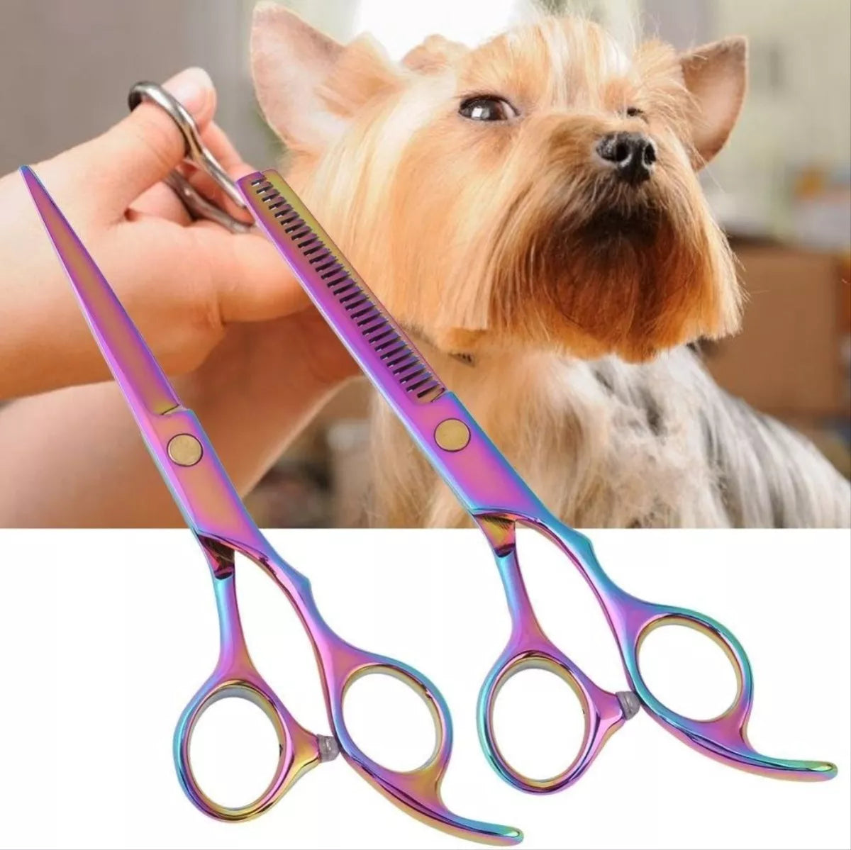 Set 3 Tijera Pelo Tijeras Peluqueria Canino Estuche Corte
