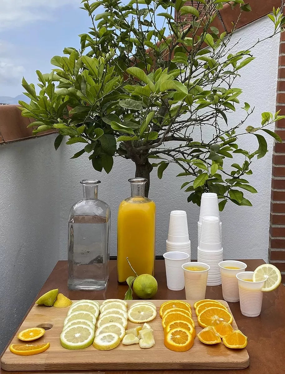 X50 Vasos Plásticos Desechables Vasos Desechables Fiestas