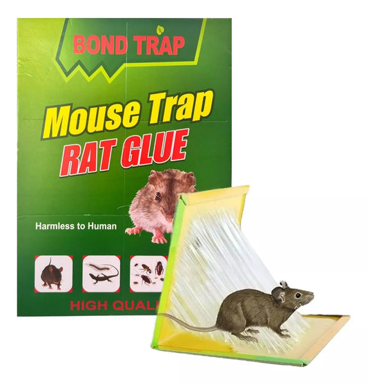 X1 Trampa Raton Pegajosa Adhesiva Control Atrapa Pegamento
