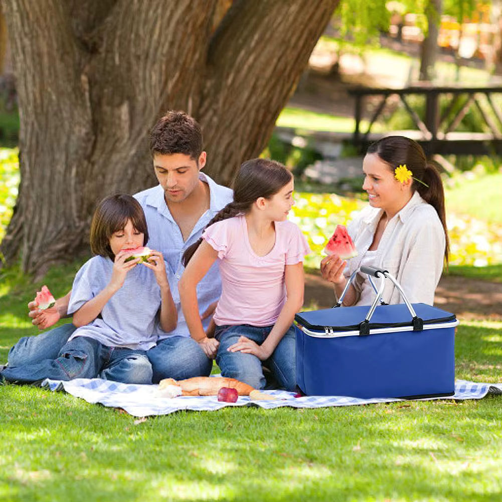 Bolso Termico Cooler Canasta Picnic Plegable Portatil