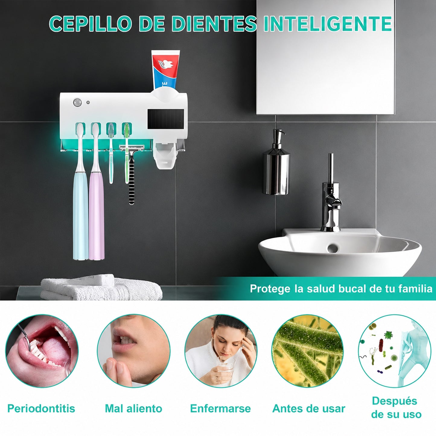 Porta Cepillo Esterilizador Cepillos Porta Cepillo Dientes