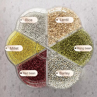 Dispensador De Granos Cereal Giratorio 6 Divisiones 360°