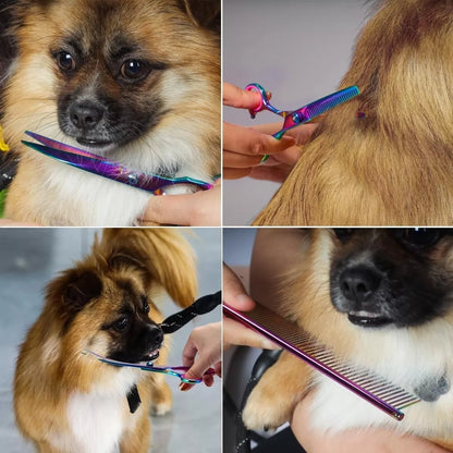Set 3 Tijera Pelo Tijeras Peluqueria Canino Estuche Corte