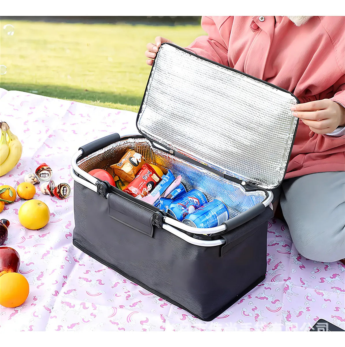 Bolso Termico Cooler Canasta Picnic Plegable Portatil