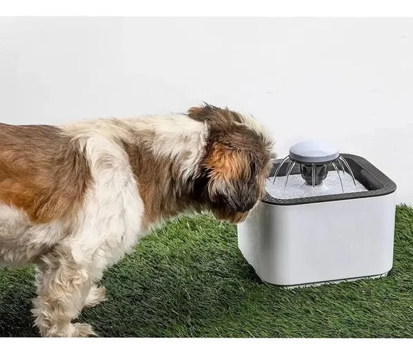 Bebedero Automatico Perros Y Gatos Fuente Agua Usb 2.5l