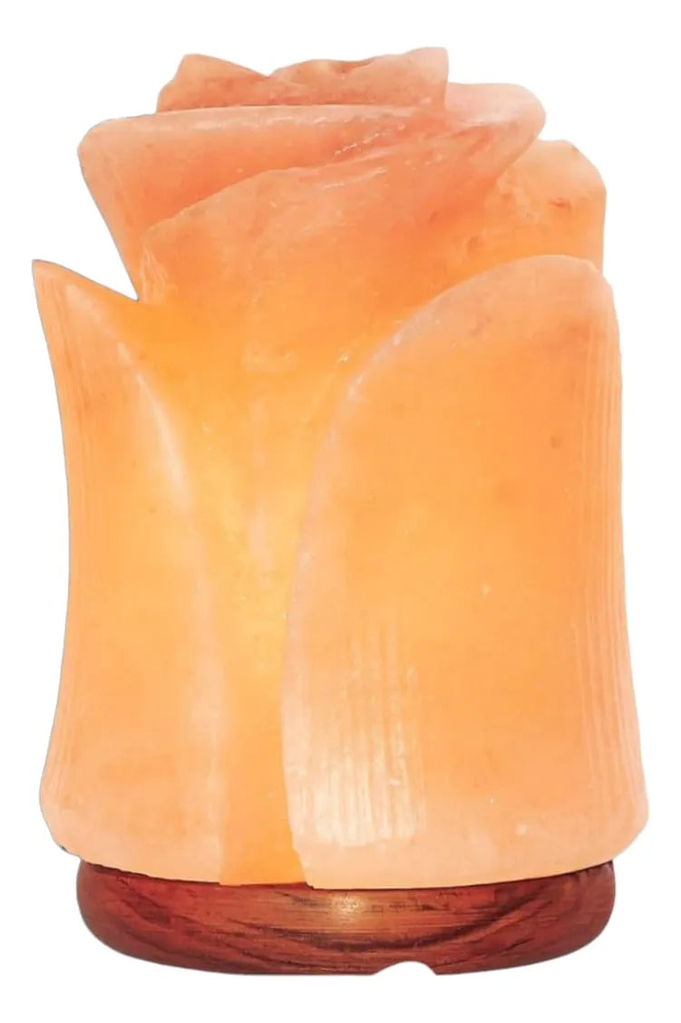 Lampara De Sal Piedra Lamparas Sal Himalaya Decorativa Rosa