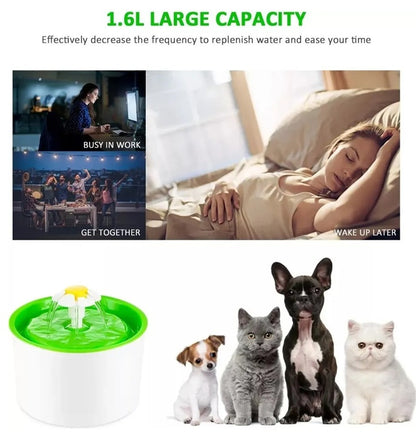 Bebedero Para Gatos Fuente De Agua Gatos Dispensador Agua